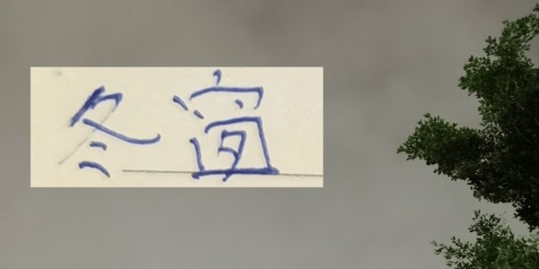 今年中超算是回光！ 居然有德甲+意甲球员加盟联赛